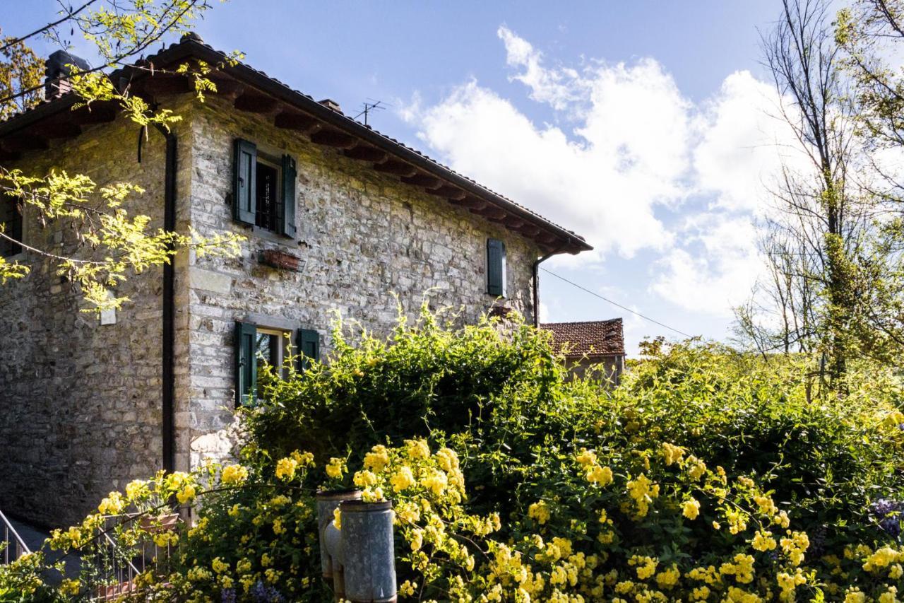 La Cavanella B&B Camugnano Exterior photo